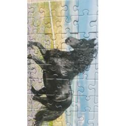 puzzeltje voor 0,50
