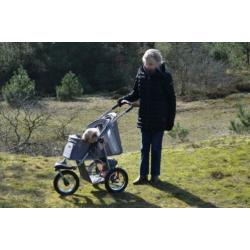 wandelwagen voor kleine hond
