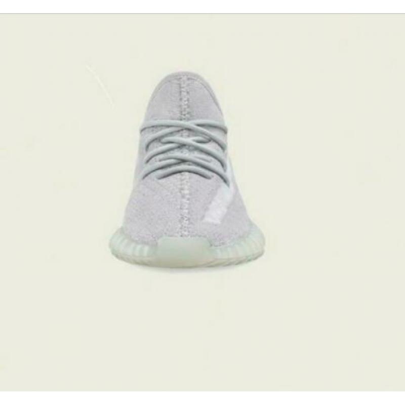 Yeezy boost 350 v2 tail light maat 42