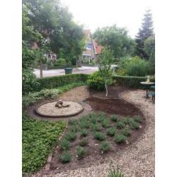 Tuin voorjaars klaar