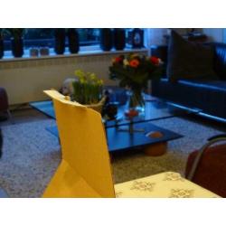Unieke design salontafel glas hout metaal