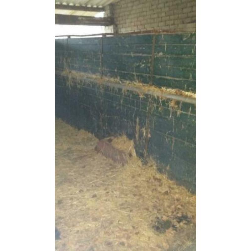 Te koop veewagen opknapper