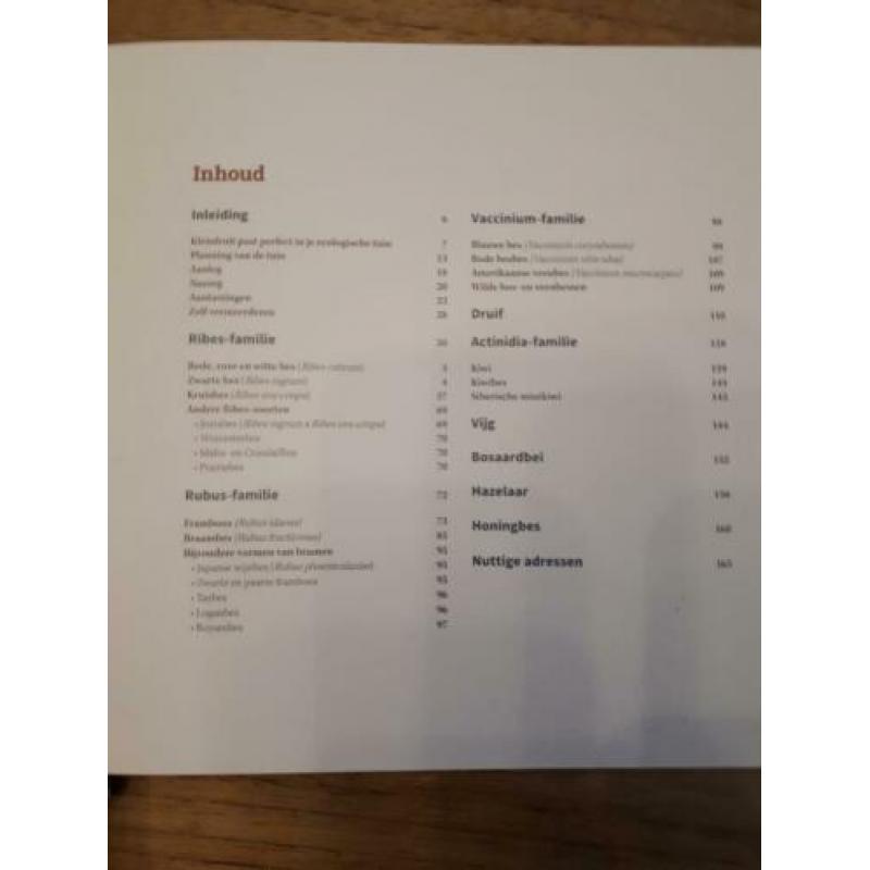 Bessen uit de tuin - Velt - 9789081612845