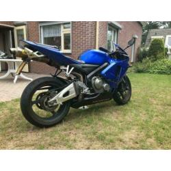Honda cbr 600 rr