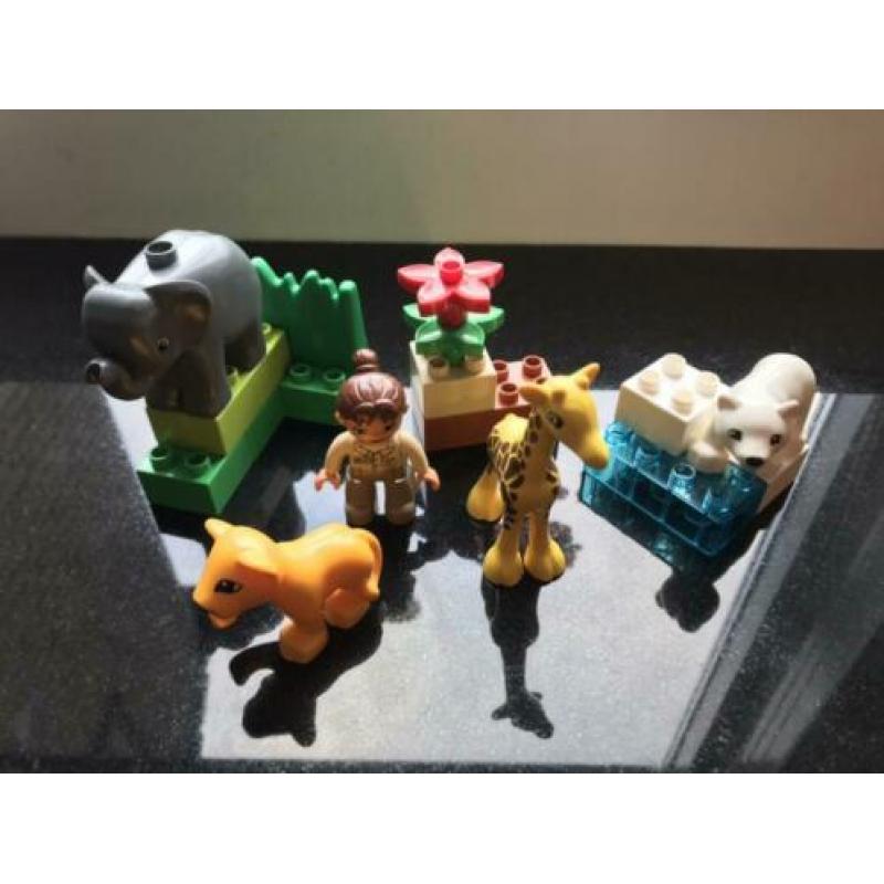 Diverse sets duplo