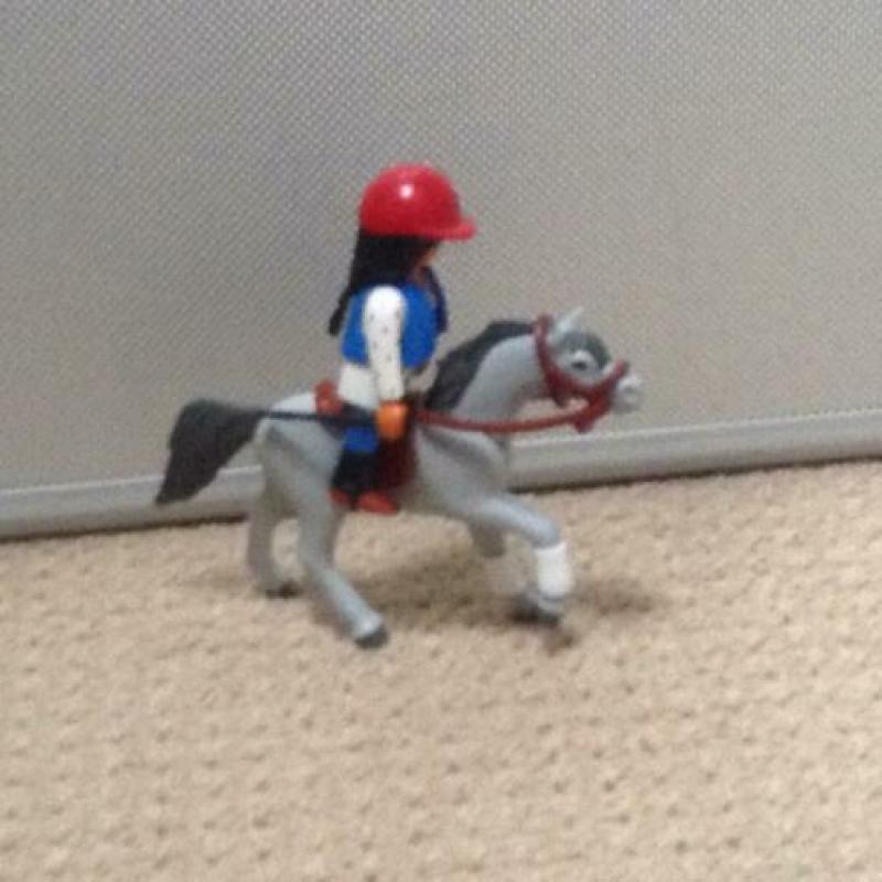 Playmobile paardenstalletje
