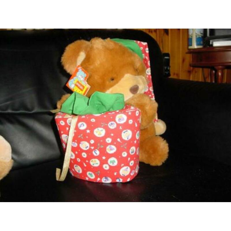 Teddyberen, knuffelbeertjes, poppenkastbeertje, berenrugzak.