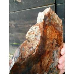 Versteend houten plak 1,44 kg