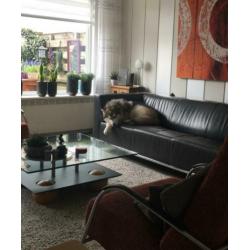 Unieke design salontafel glas hout metaal