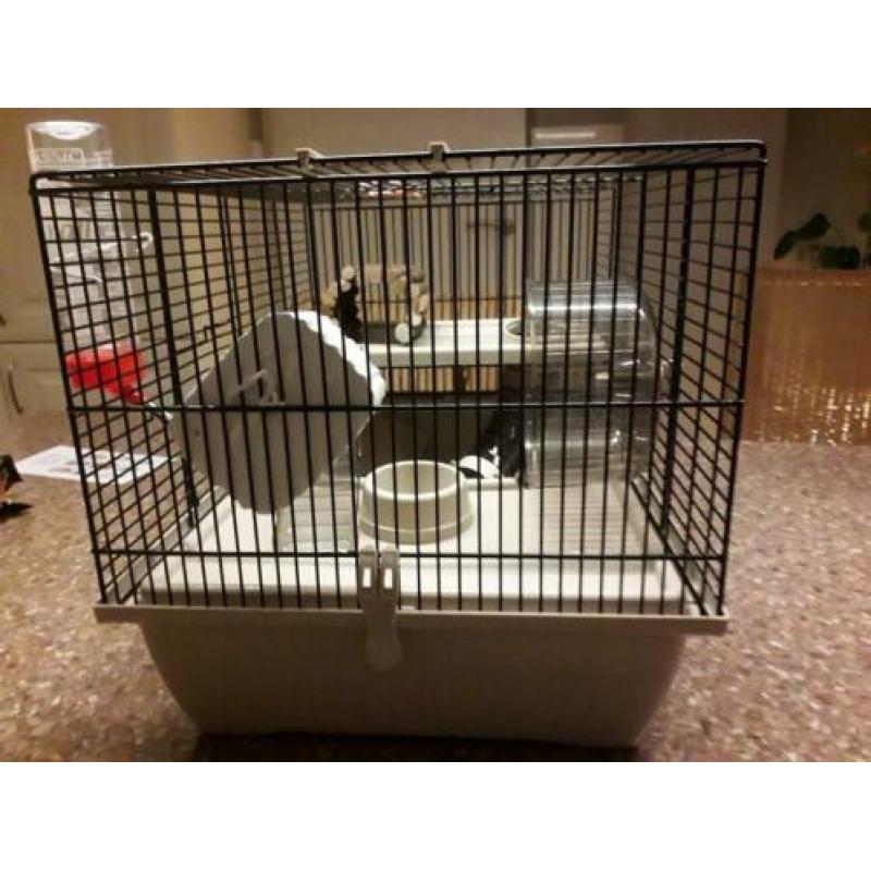 Hamsterkooi met veel assecoires