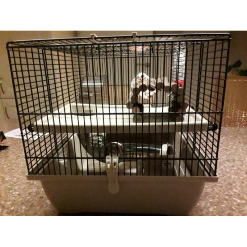 Hamsterkooi met veel assecoires