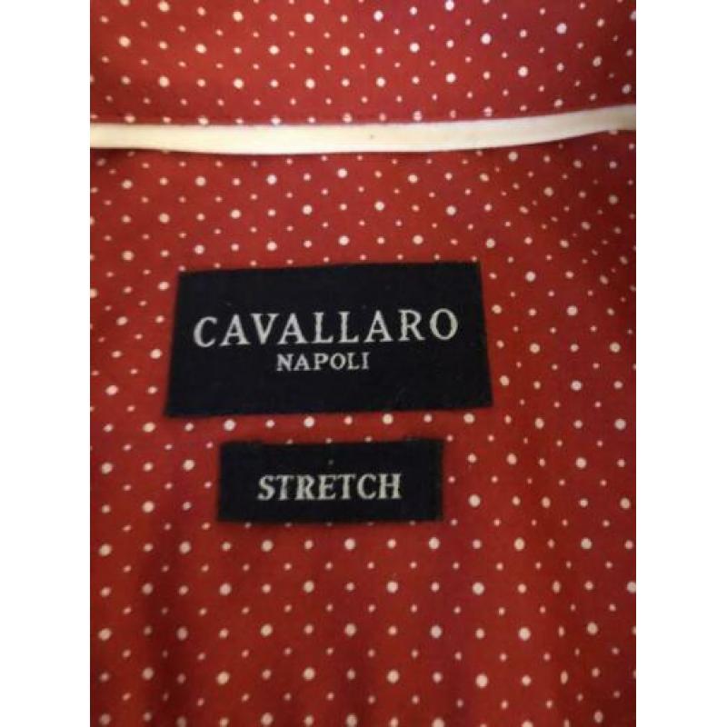 Cavalaro Napoli blouse rood met witte print (maat 36)