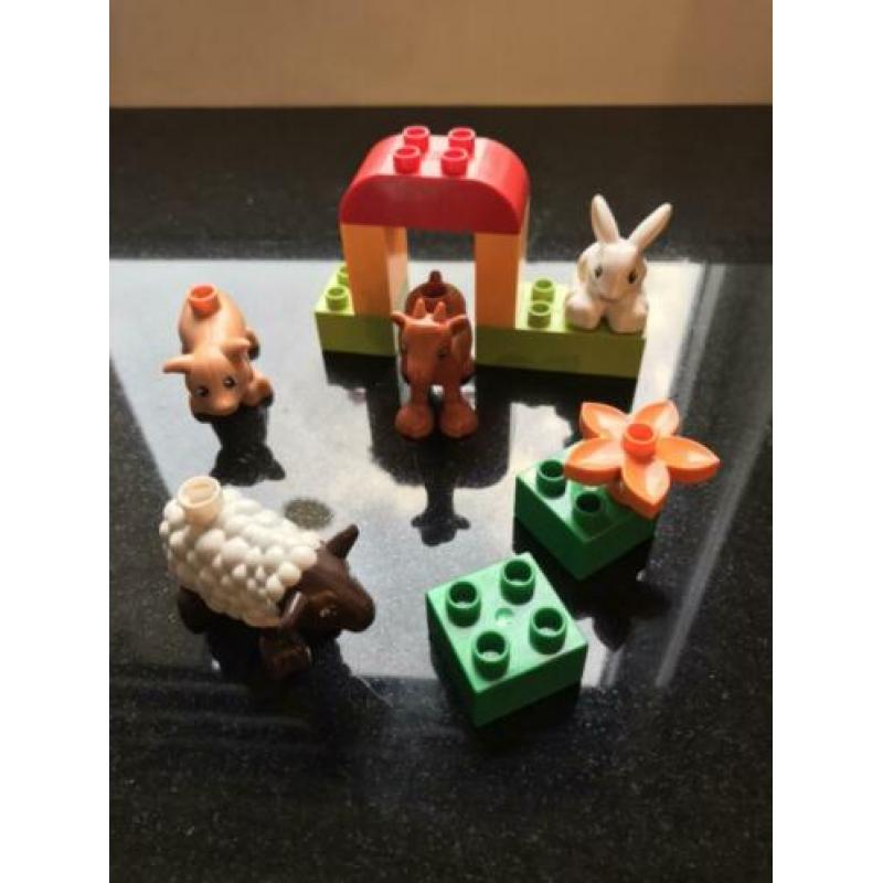 Diverse sets duplo