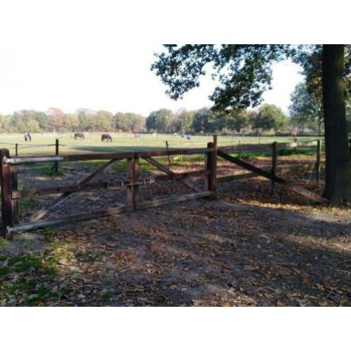 Paardensportcentrum Quinto het ***** hotel voor uw paard