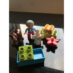Diverse sets duplo