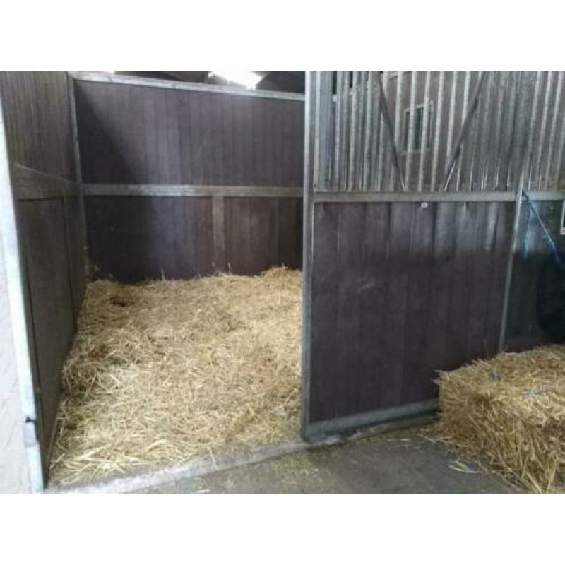 Paardensportcentrum Quinto het ***** hotel voor uw paard