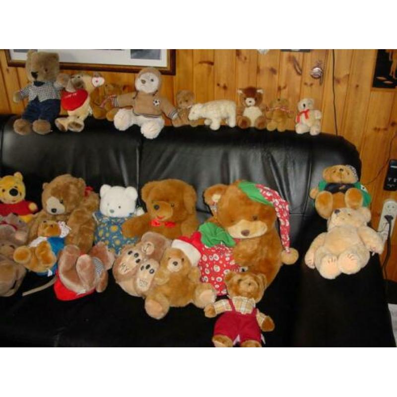 Teddyberen, knuffelbeertjes, poppenkastbeertje, berenrugzak.