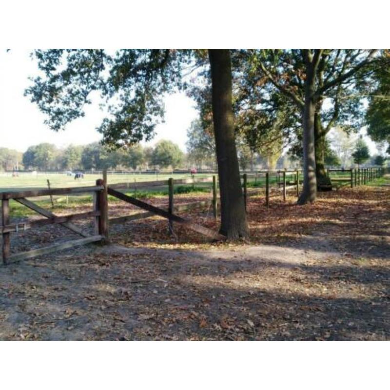 Paardensportcentrum Quinto het ***** hotel voor uw paard