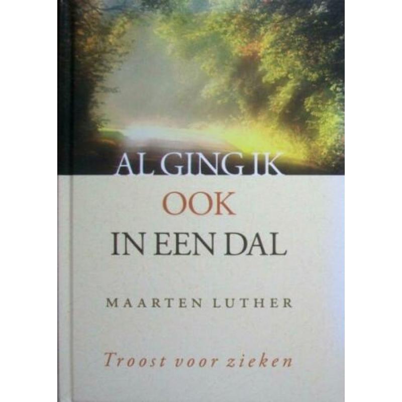 Maarten Luther - Al gin ik ook in een dal