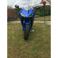 Honda cbr 600 rr