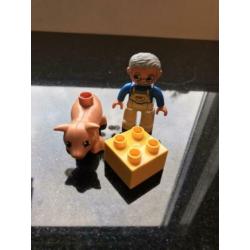 Diverse sets duplo