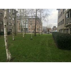 Garagebox/opslagruimte A’dam Centrum te huur