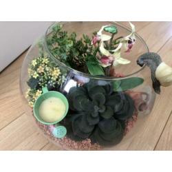 Vissenkom met kunst plantjes
