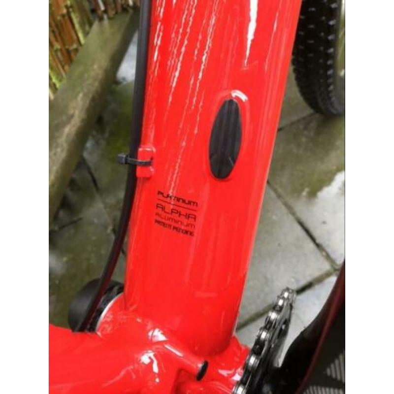 Trek Procaliber 6