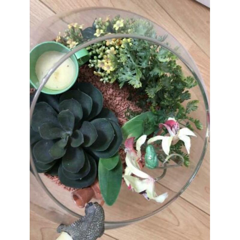 Vissenkom met kunst plantjes