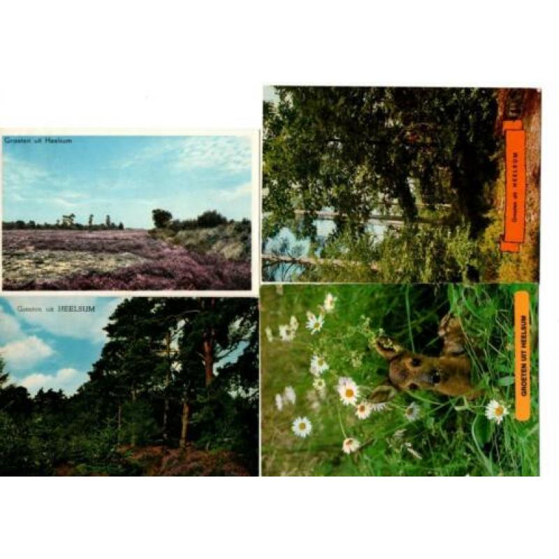 Heelsum groeten uit