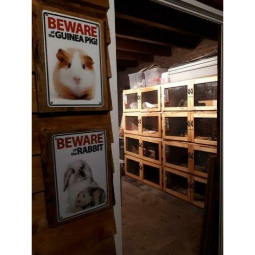 Het Zoekende Keuteltje - Konijnen & cavia opvang