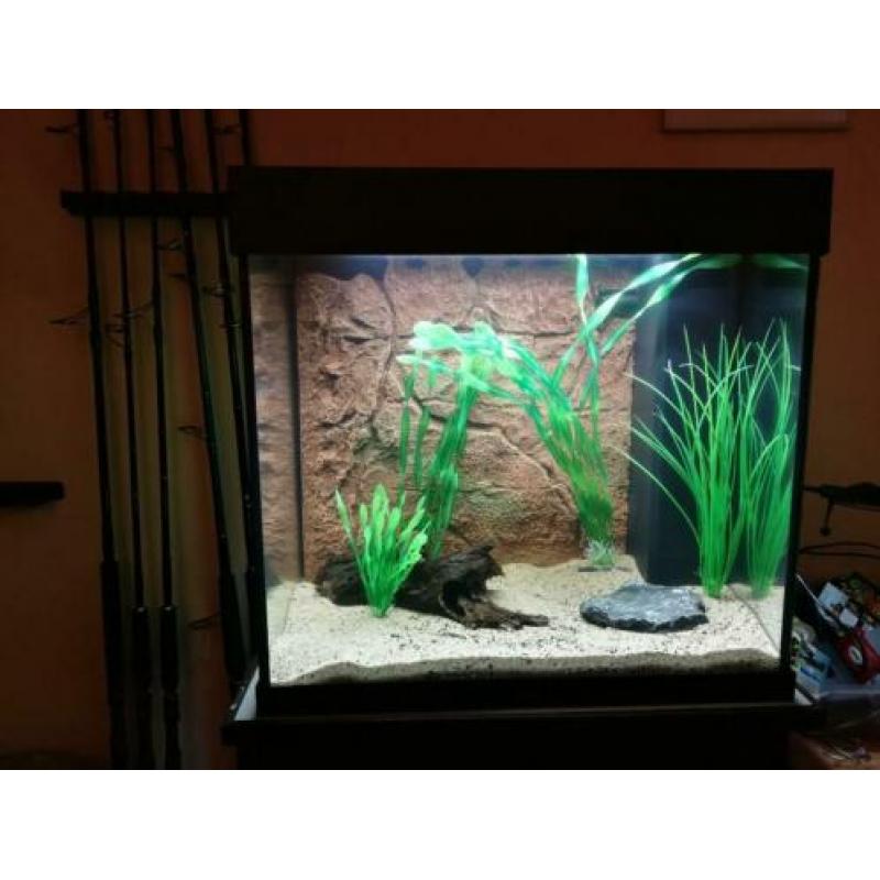 Aangeboden Juwel Lido 120 liter aquarium