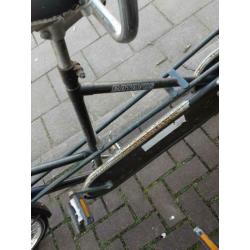 2 leuke tandems fietsen