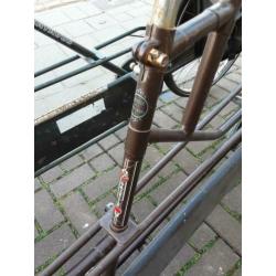 2 leuke tandems fietsen