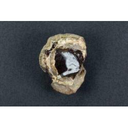 Opaal nodule uit Ethiopië