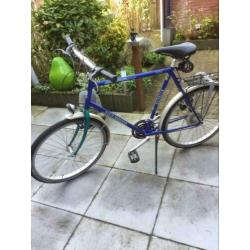 Heren sportfiets gazelle,