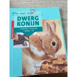 Konijnen en knaagdieren encyclopedie boekje dwergkonijn