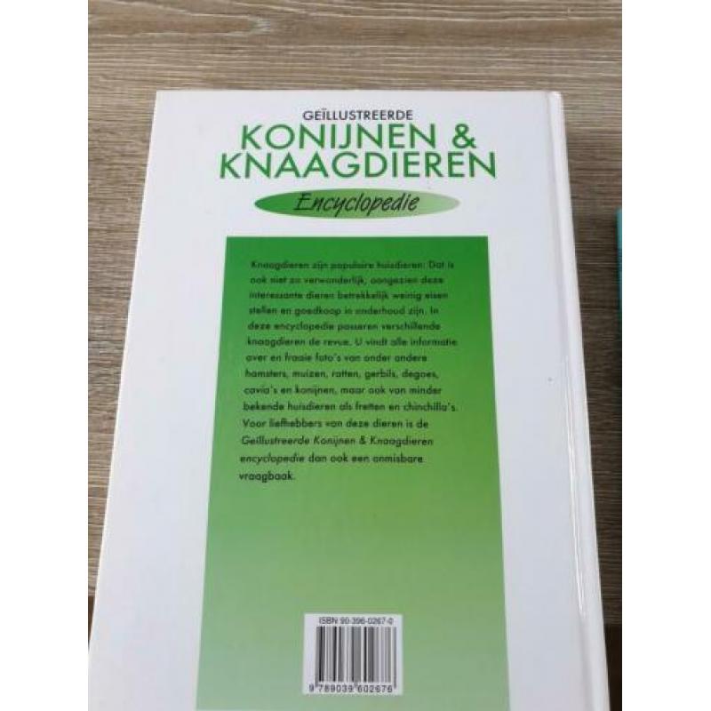 Konijnen en knaagdieren encyclopedie boekje dwergkonijn