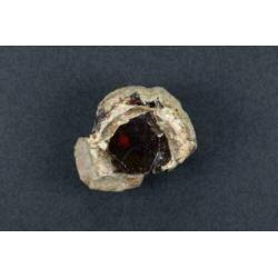 Opaal nodule uit Ethiopië
