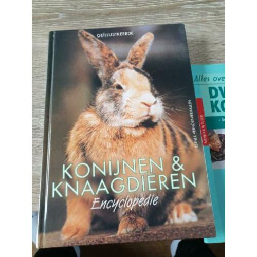 Konijnen en knaagdieren encyclopedie boekje dwergkonijn