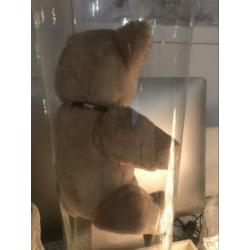 Authentieke wit beige lief ogend goede maat teddybeer beer
