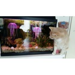 Aquarium 60 breed 30 diep 47 hoog