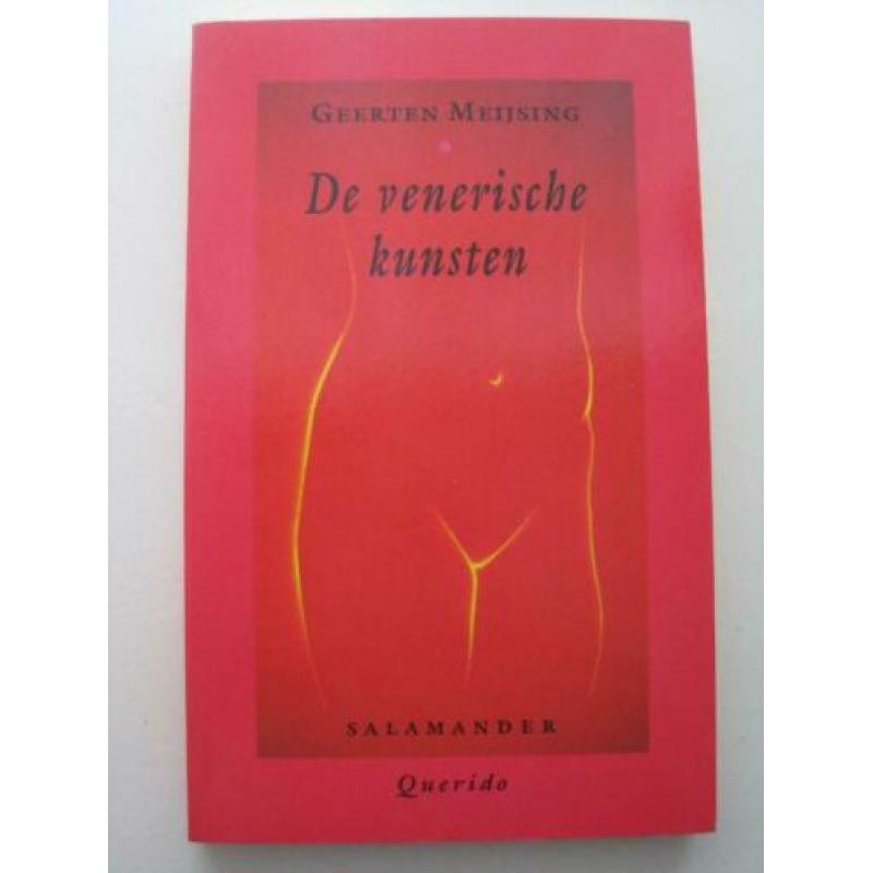 Geerten Meijsing - De grachtengordel