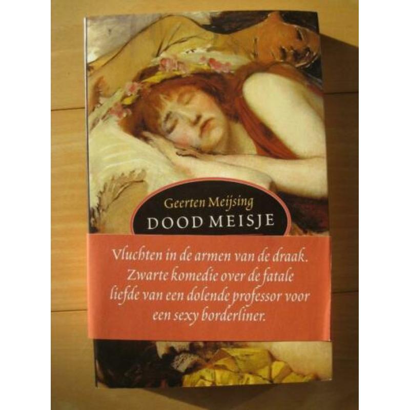 Geerten Meijsing - De grachtengordel