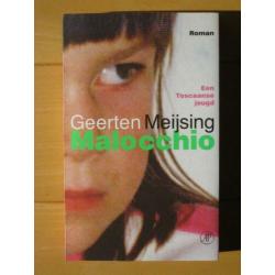 Geerten Meijsing - De grachtengordel