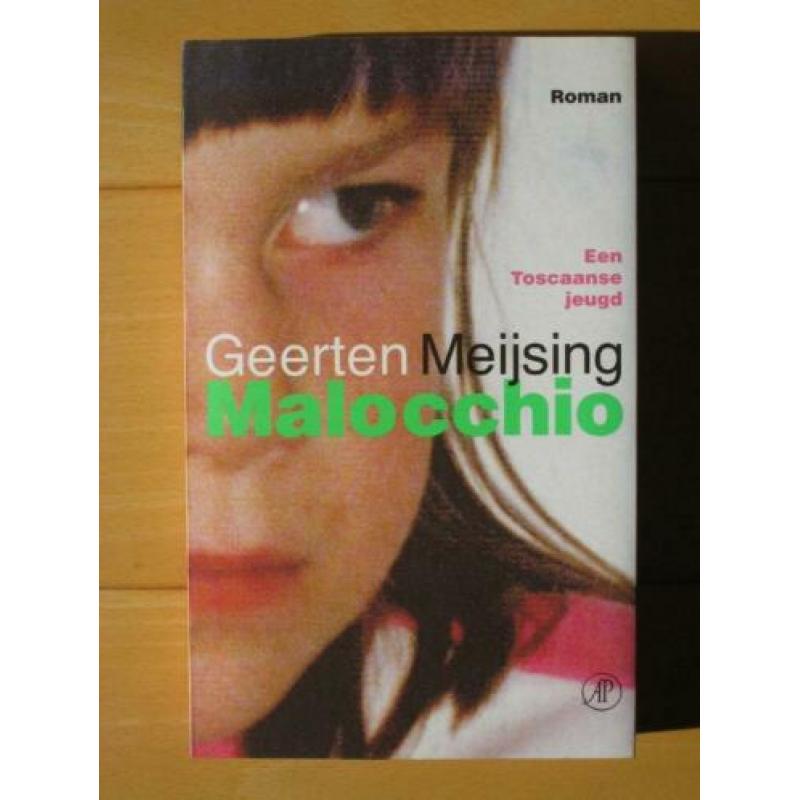 Geerten Meijsing - De grachtengordel