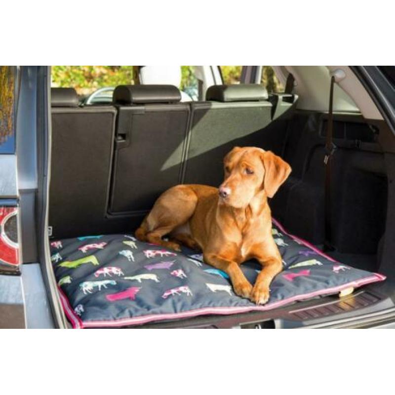 Digby&Fox bed Vossen; Voor in huis, auto, camping, tuin enz.