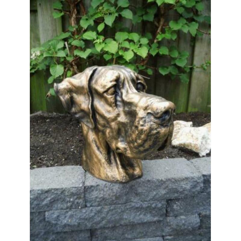 Kado sier of als urn duitse dog duitse dog soort kop nieuw g
