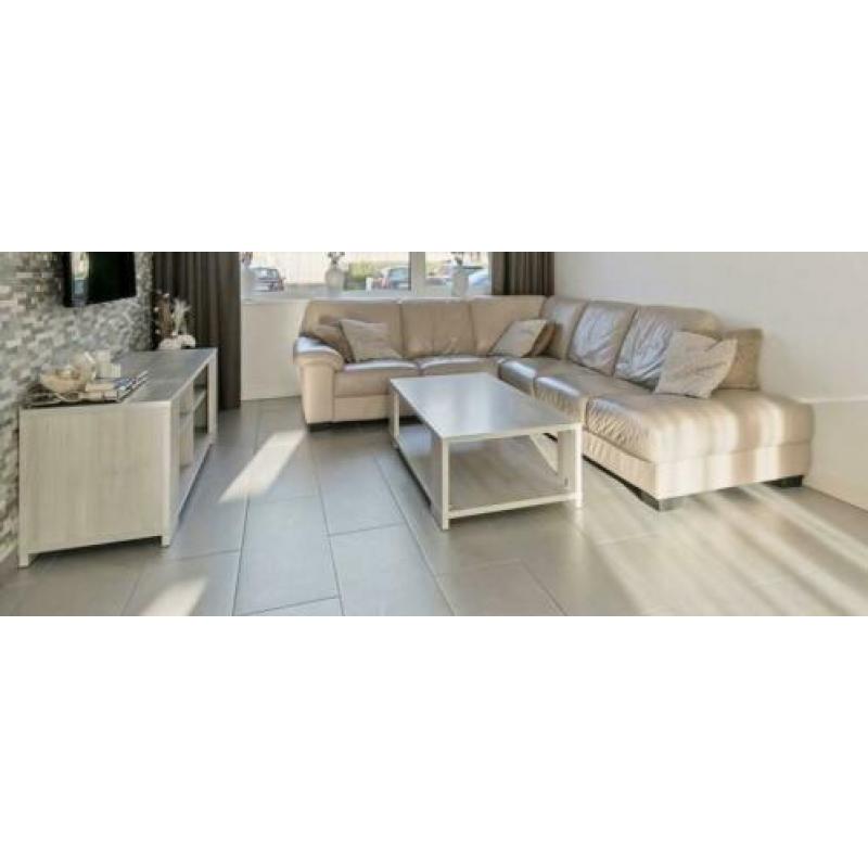 Grijs/creme woonkamer meubels