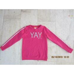 Mooie Roze Sweater D-zine,mt 164/170